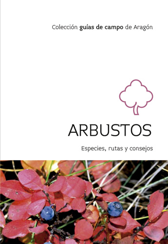 arbustos